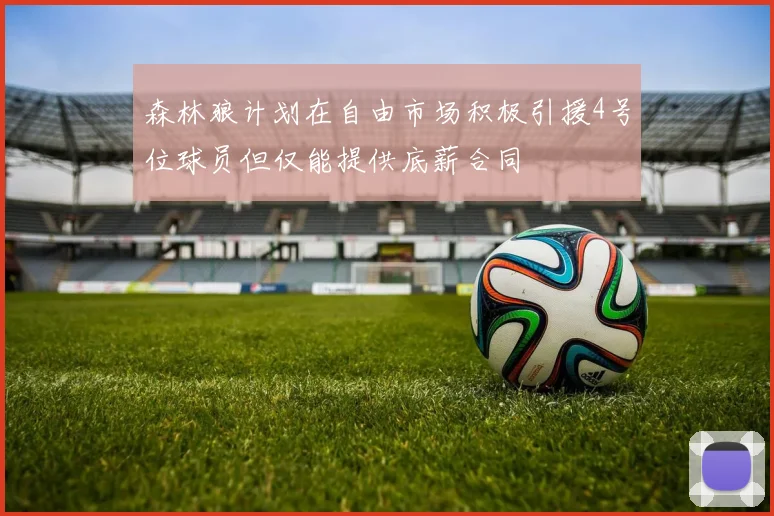 森林狼计划在自由市场积极引援4号位球员但仅能提供底薪合同